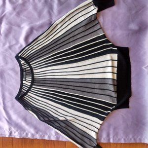 7th Avenue Design Studio New York & Company M Batwing Sleeve Striped Sweater